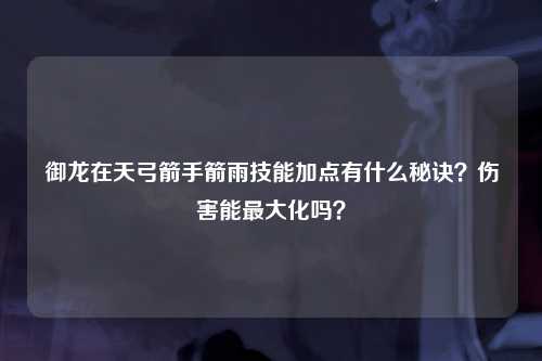 御龙在天弓箭手箭雨技能加点有什么秘诀？伤害能最大化吗？