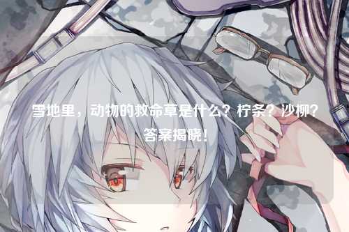 雪地里,动物的救命草是什么?柠条?沙柳?答案揭晓!