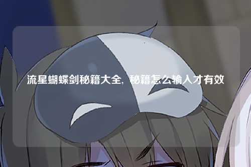流星蝴蝶剑秘籍大全,  秘籍怎么输入才有效