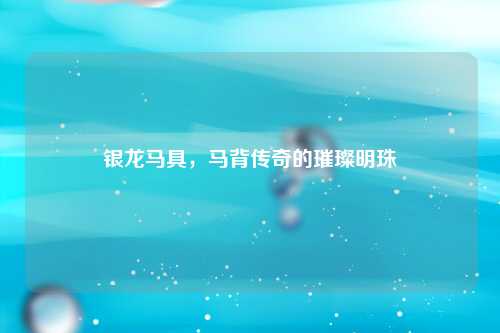 银龙马具，马背传奇的璀璨明珠