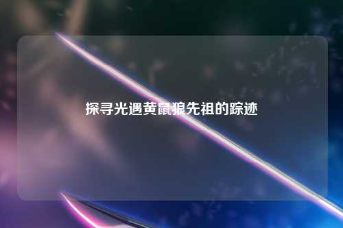 探寻光遇黄鼠狼先祖的踪迹