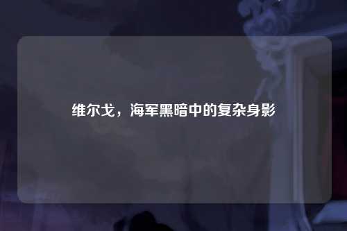 维尔戈，海军黑暗中的复杂身影